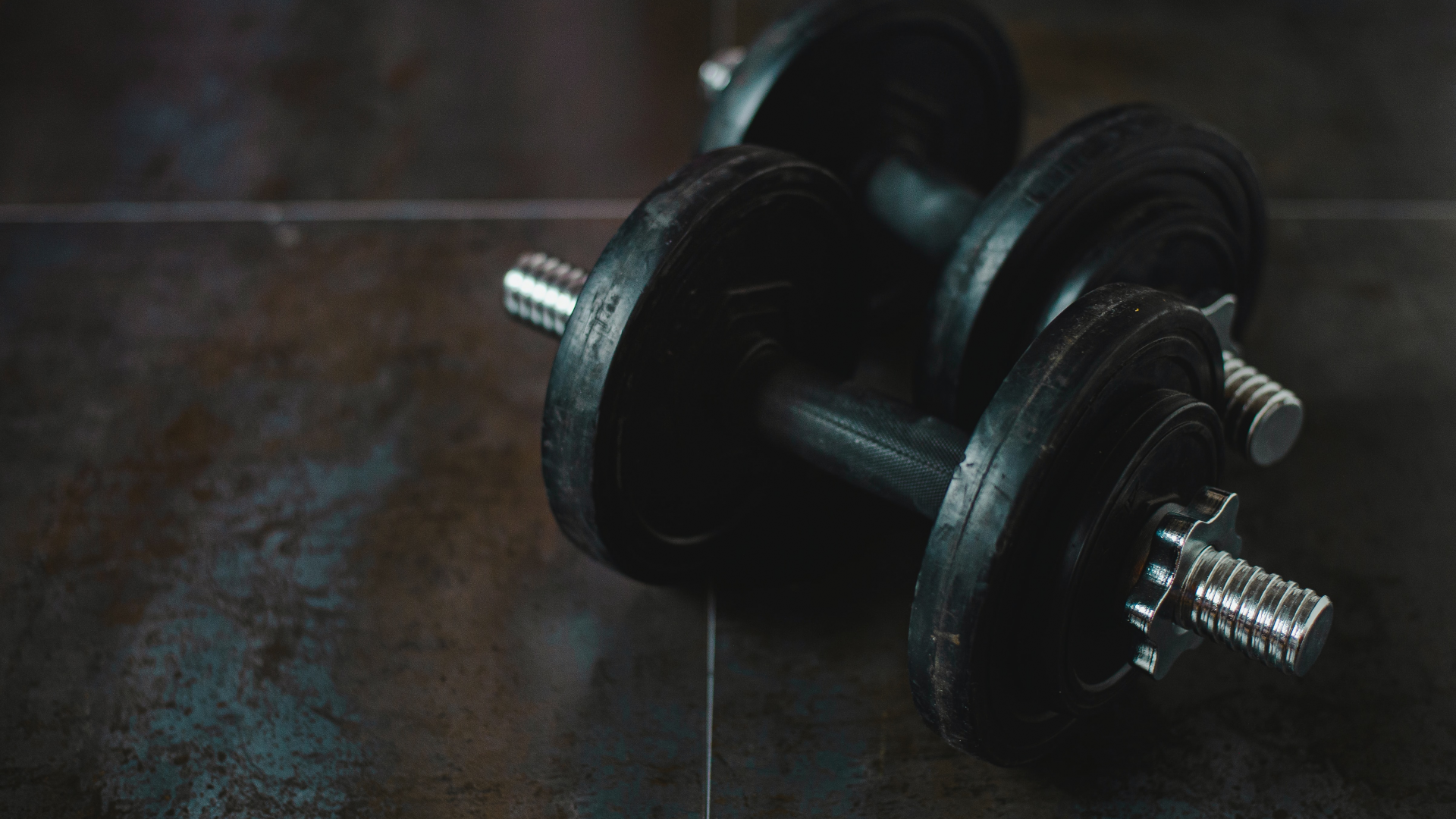 best adjustable dumbbells