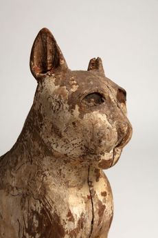animal mummies