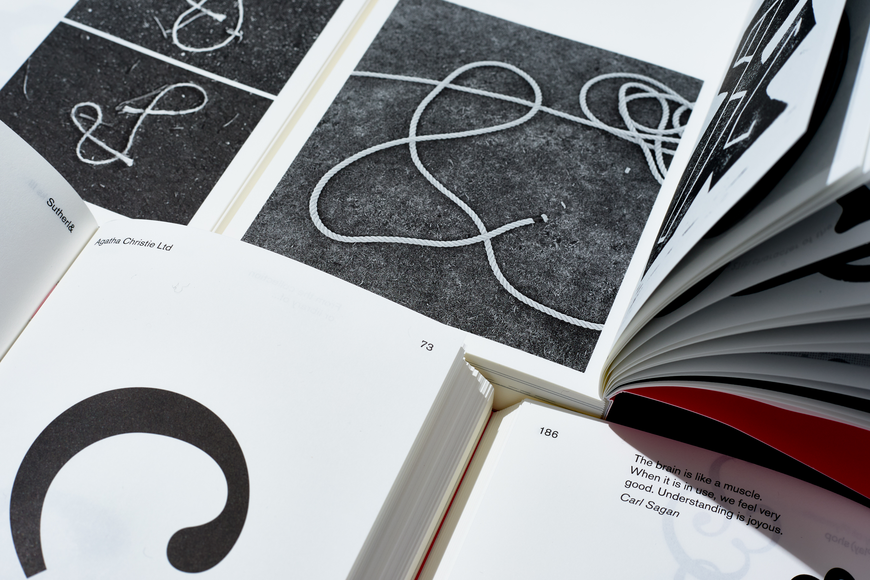A Collaboration of ampersands book project