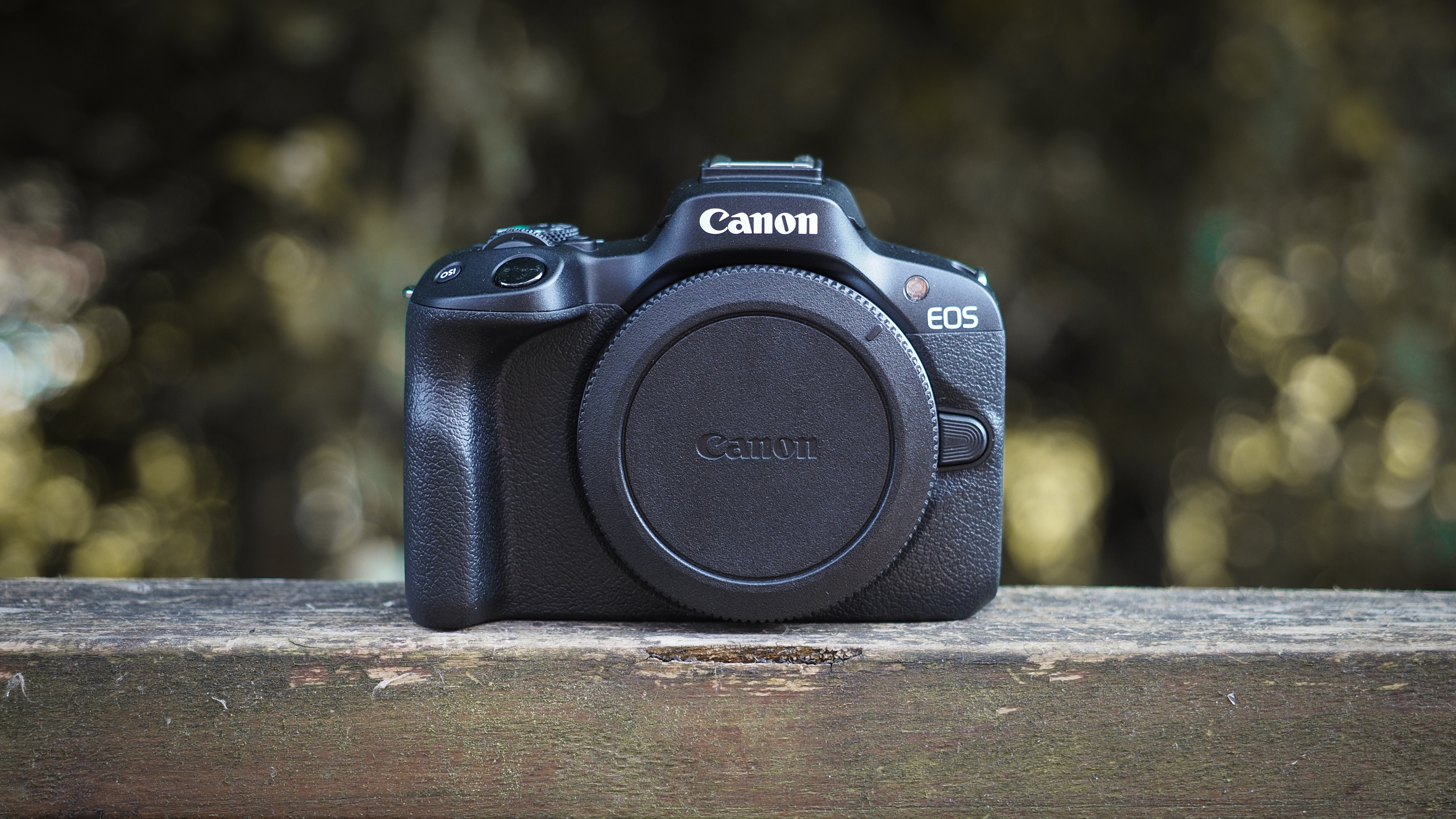 Canon APS-C cameras on a wooden surface