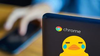 A crying duckling on a chromebook being used in an office environment