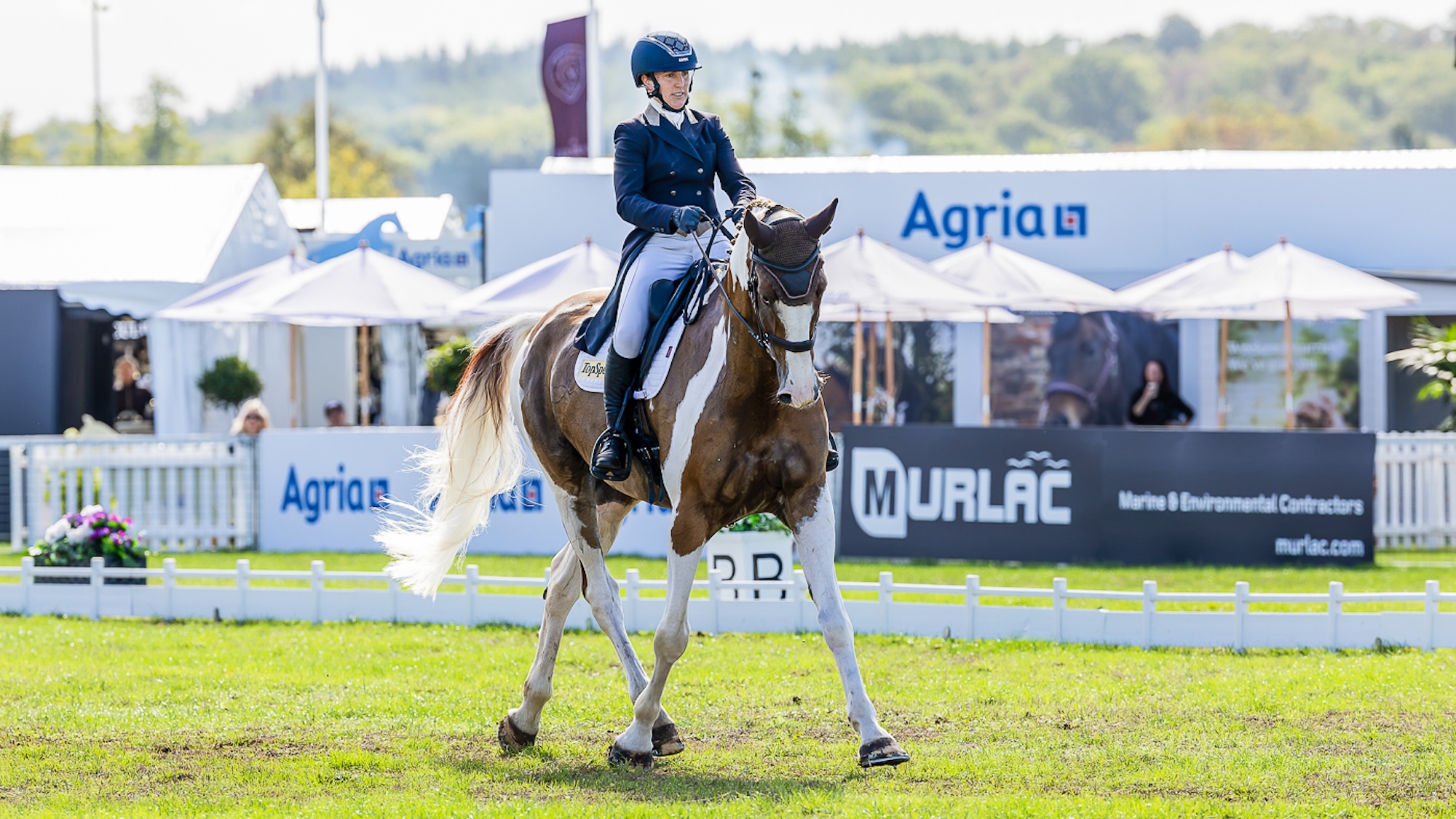 Image shows a skewbald horse in a dressage arena