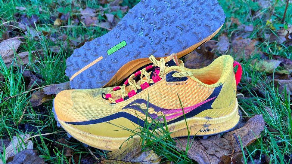 The best winter running shoes 2024 for cold, damp roads and muddy