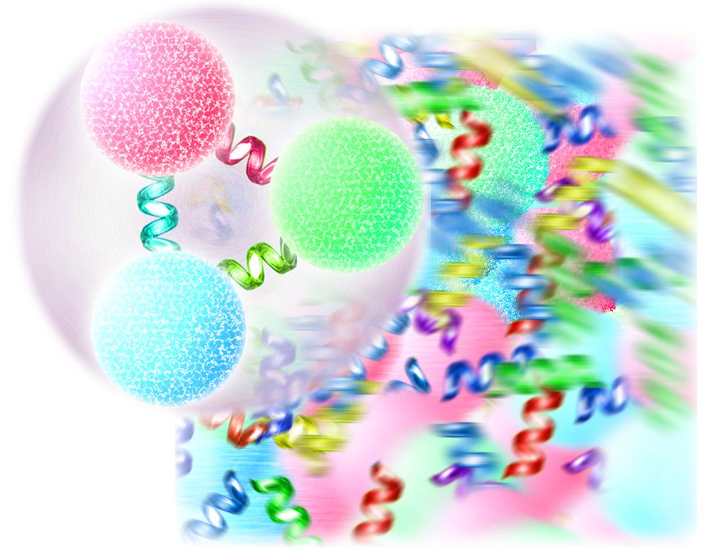 An ordinary proton or neutron (foreground) is formed of three quarks bound together by gluons, carriers of the color force. Above a critical temperature, protons and neutrons and other forms of hadronic matter melt into a hot, dense soup of free quarks and gluons (background), the quark-gluon plasma.