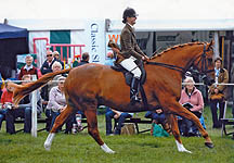 hannah-wain.jpg