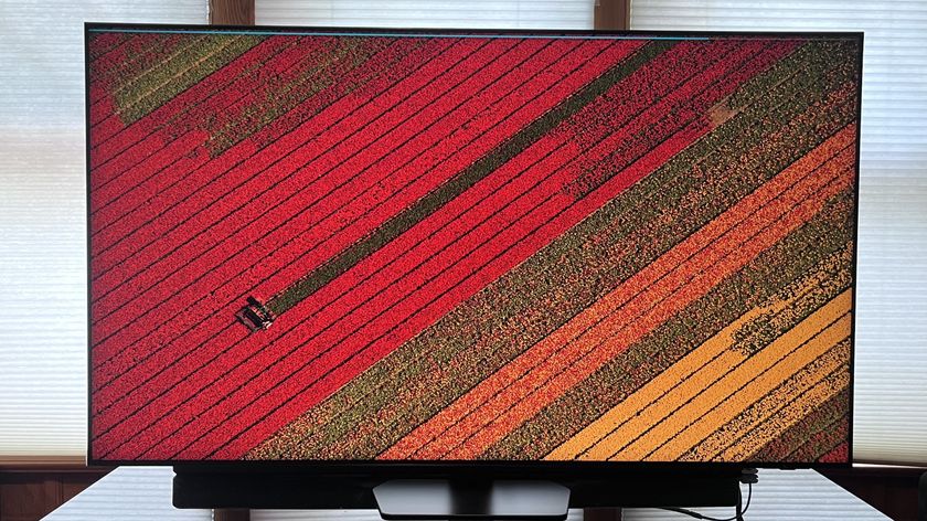 Samsung QN90F showing aerial image of tulip farm