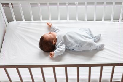 Active sleep in newborns illustrated by newborn asleep in cot