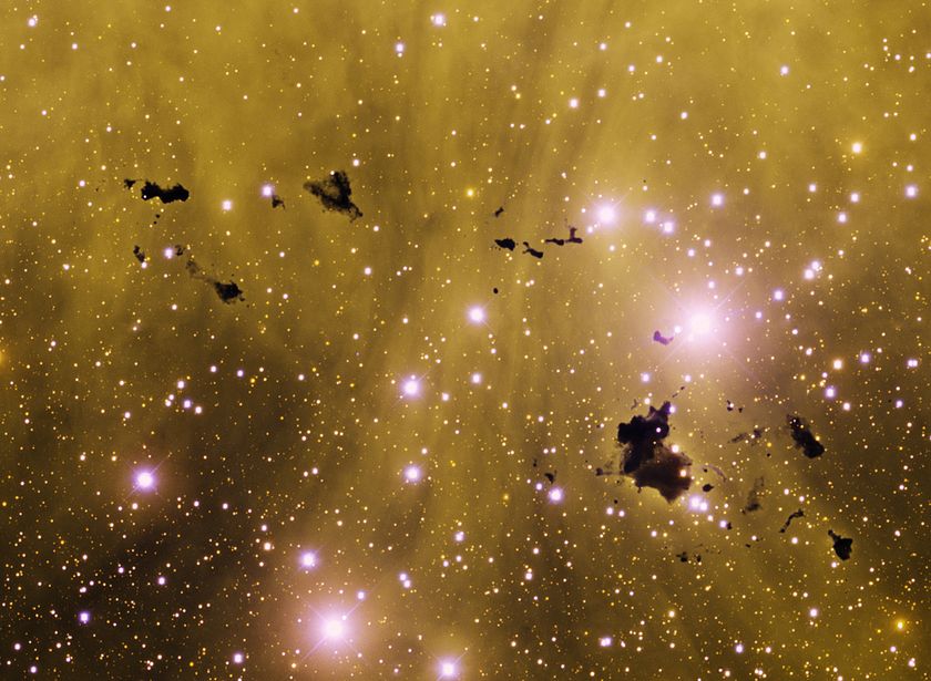 This image was obtained with the wide-field view of the Mosaic II camera on the Blanco 4-meter telescope at Cerro Tololo on Jan 12th and Feb 7th, 2012. An array of dark Bok globules, known as Thackeray's Globules, can be seen in silhouette against the emission nebula IC 2944 in the constellation Centaurus. 