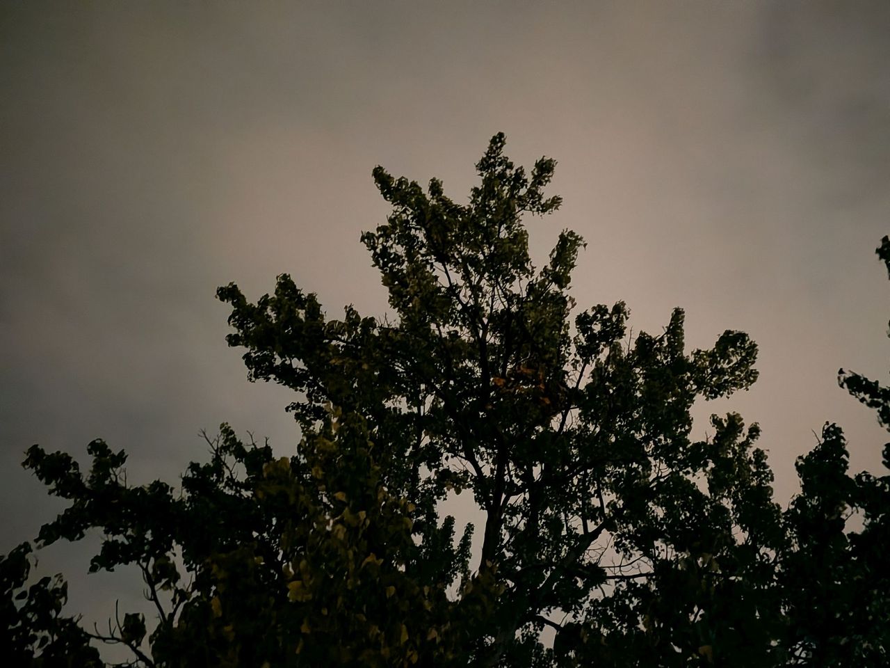Google Pixel 10 Pro Fold camera sample.