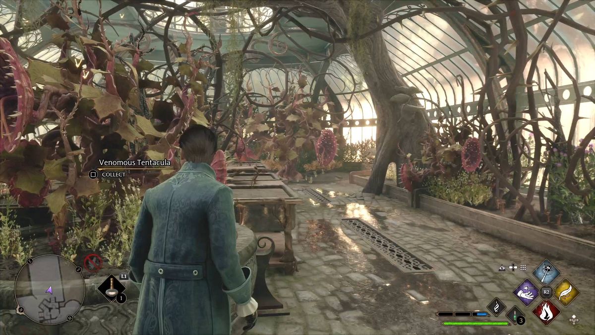 Hogwarts Legacy venomous tentacula where to find and buy them