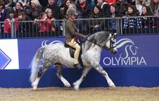 SECTION-A-Uphill-James-Fox_Olympia_PN16_12380-copy.jpg