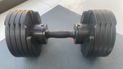 Adjustable dumbbells core online fitness