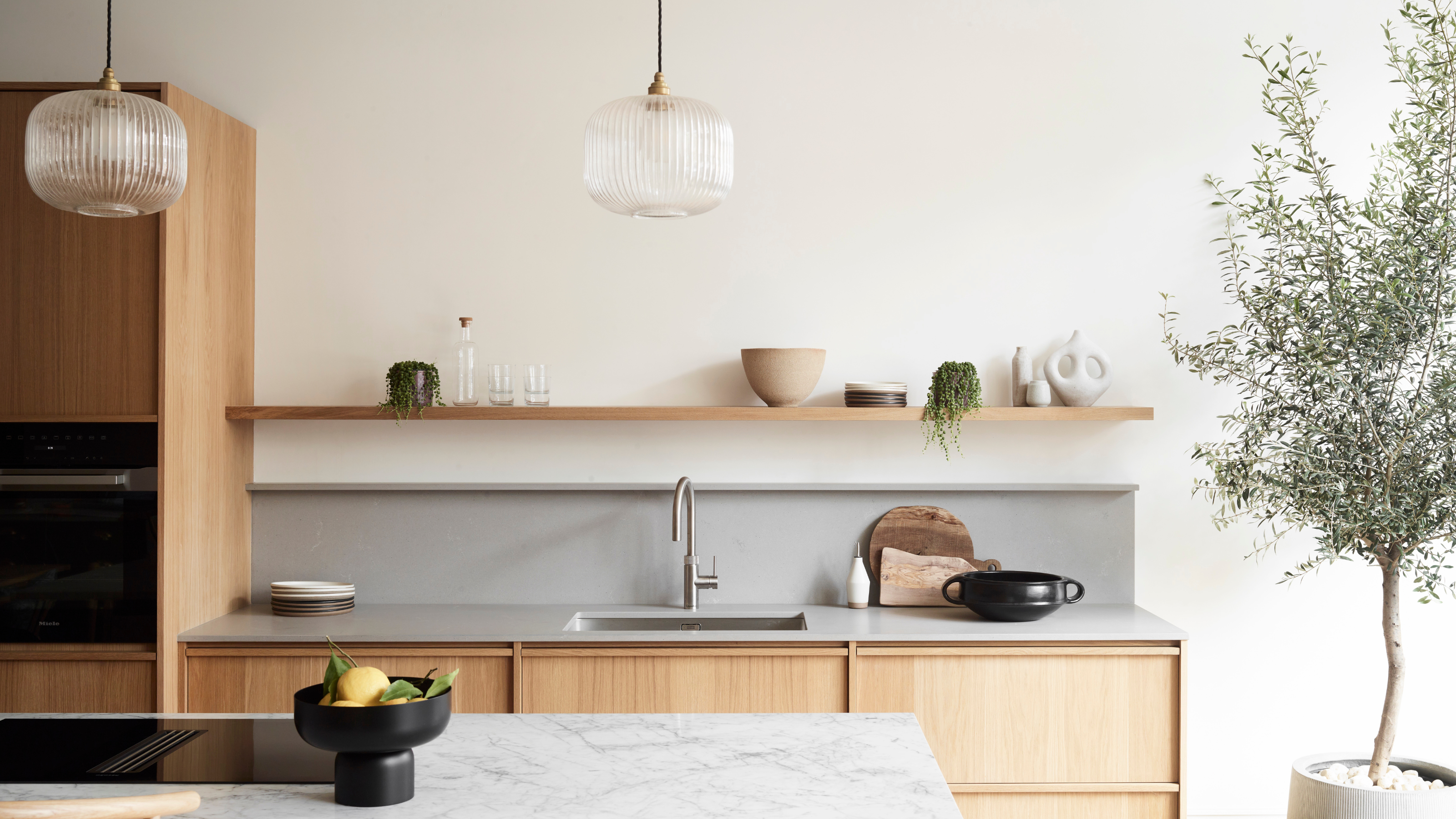 A modern minimalist kitchen with a single wide open shelf over the sink and an olive tree styled next to it