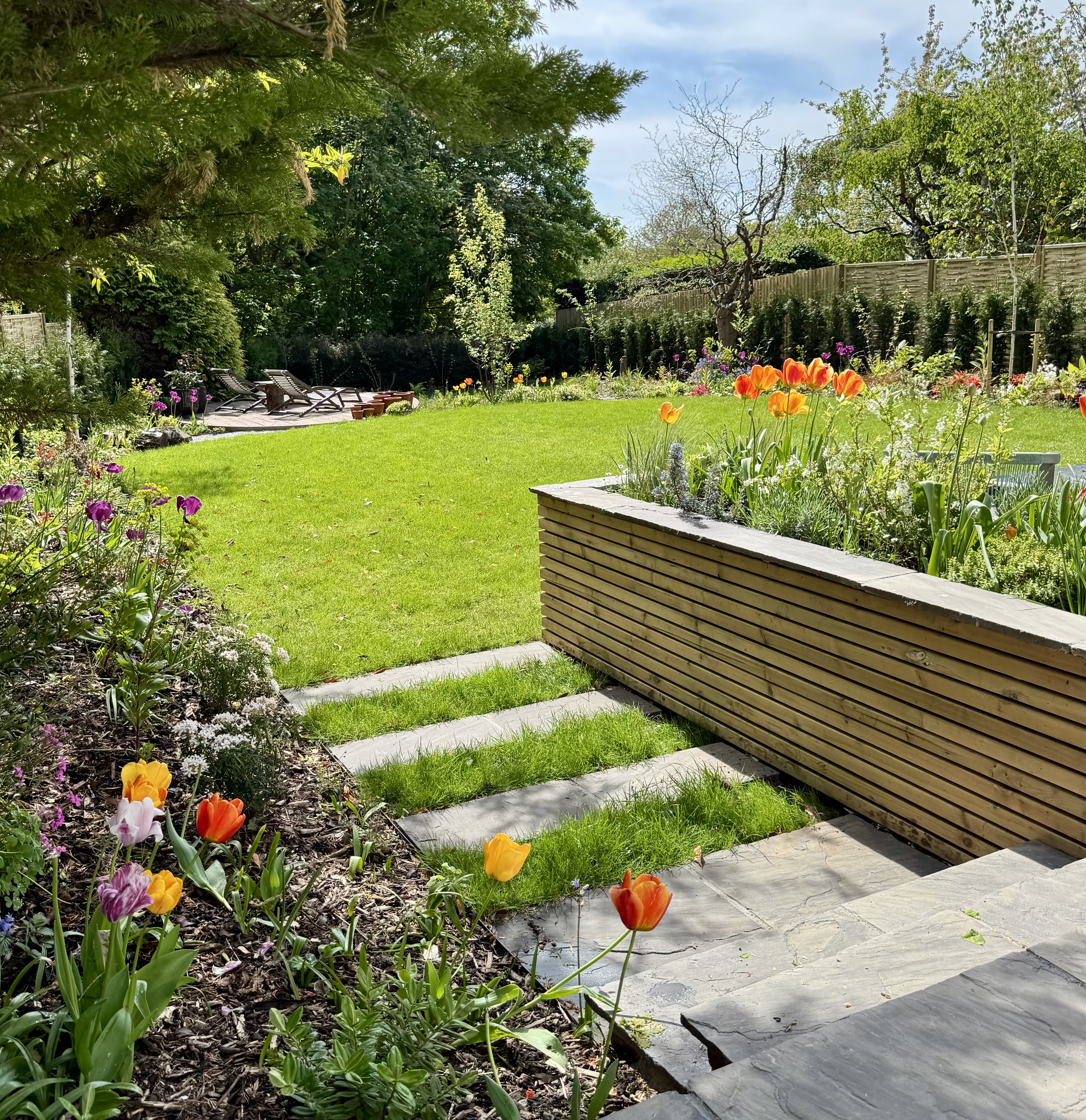 modern garden design with sun loungers