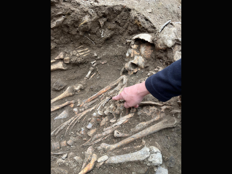 Photos from an archaeological excavation, showing a large open burial area, a close up of a skeleton with a metal nail on its left side and a close up of the same skeleton with a hand pointing to the metal nail