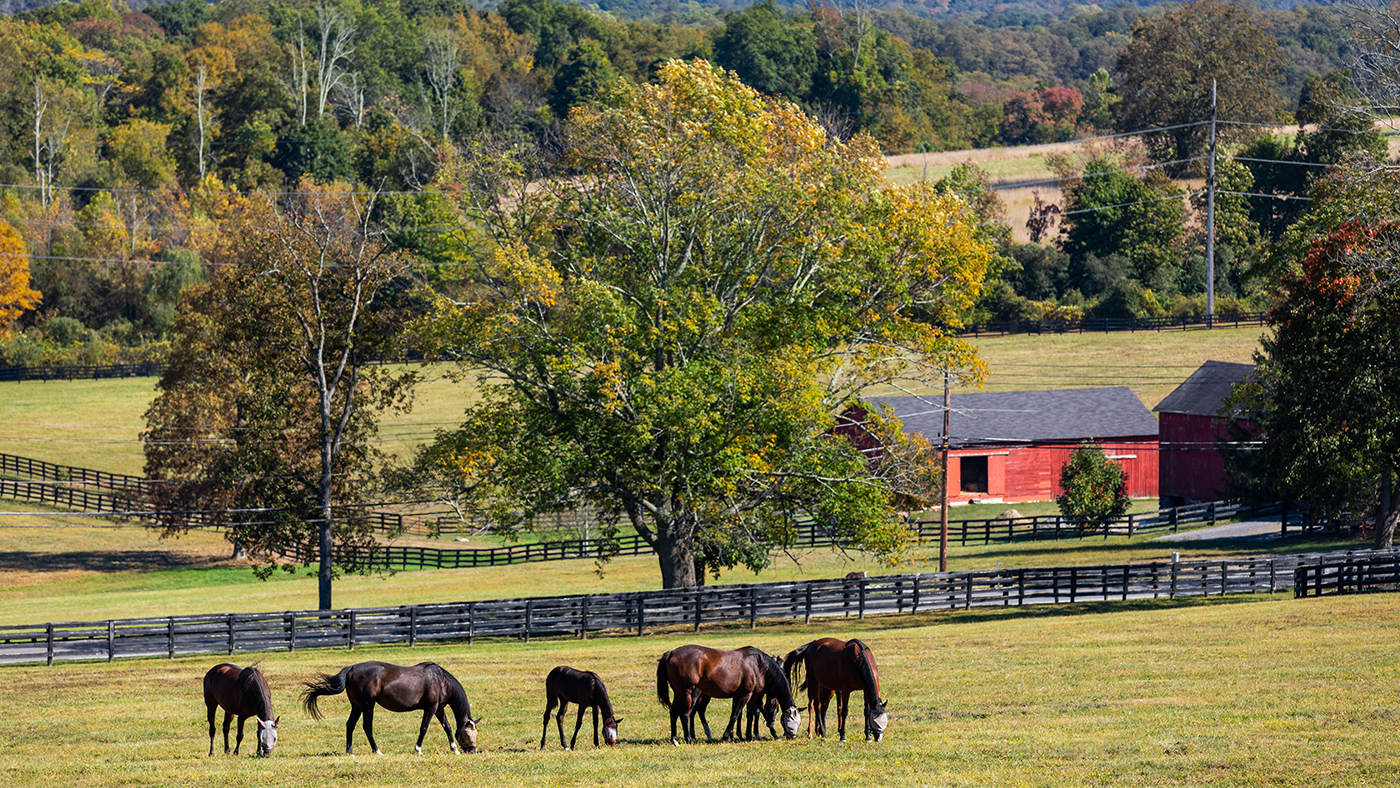 190925_EJ_159_MAHOPAC-0307_HIGH_RES