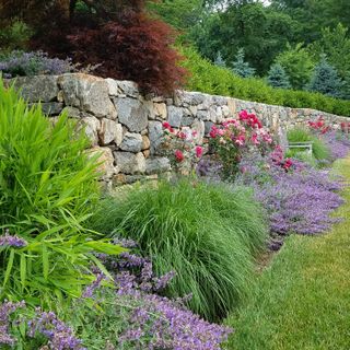 stone garden wall as a backdrop to wild grasses and pink and purple flowers