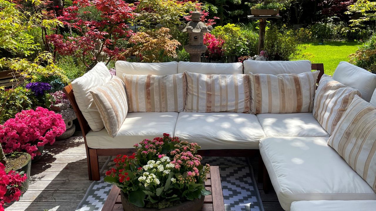 A backyard with potted plants