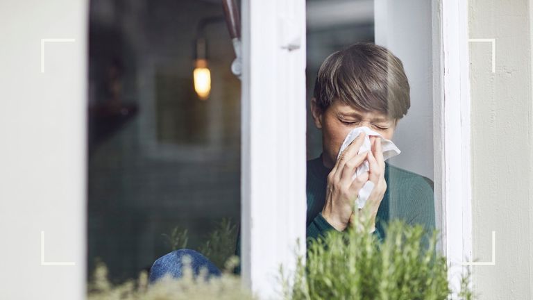 Camera shot through a window of a woman with short hair blowing her nose following the onset of hay fever symptoms, plants in the foreground