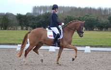 Charlotte Dujardin riding Gio at Hunters EC