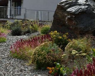 garden border landscaped with rocks and plants