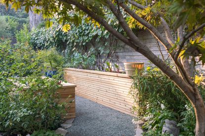 a vegetable bed made form cedar wood