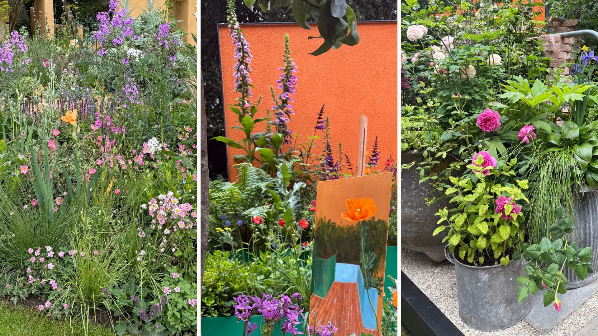 Collages of the best RHS Chelsea flower show 2026 gardens and takeaway trends