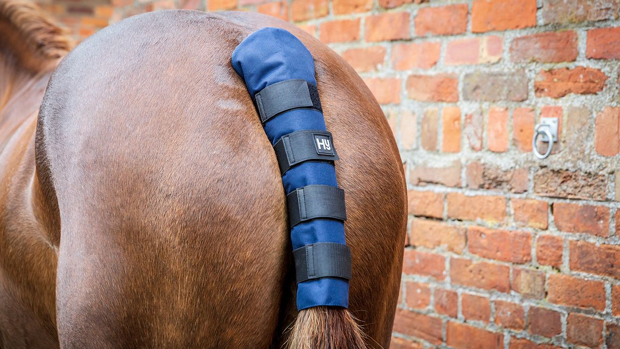 Hy padded tail guard review