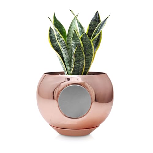 Magpot Magnetic Plant Pot - Unique Window Planter for Succulents, Indoor & Outdoor Greenery - Self-Adhesive Magnet Attachment, Drainage Holes, Detachable Reservoir - Rose Gold