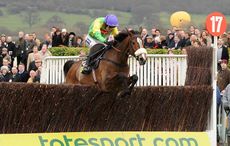 Kauto Star