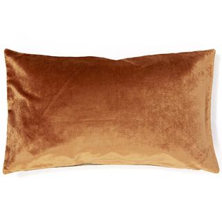 golden velvet fabric cushions