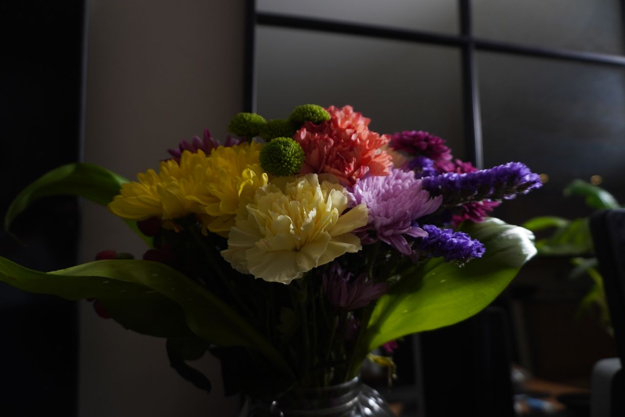 Sample photo shot on the Sony ZV-E10