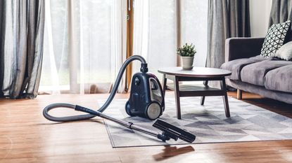 A vacuum standing on an small area rug in a living room