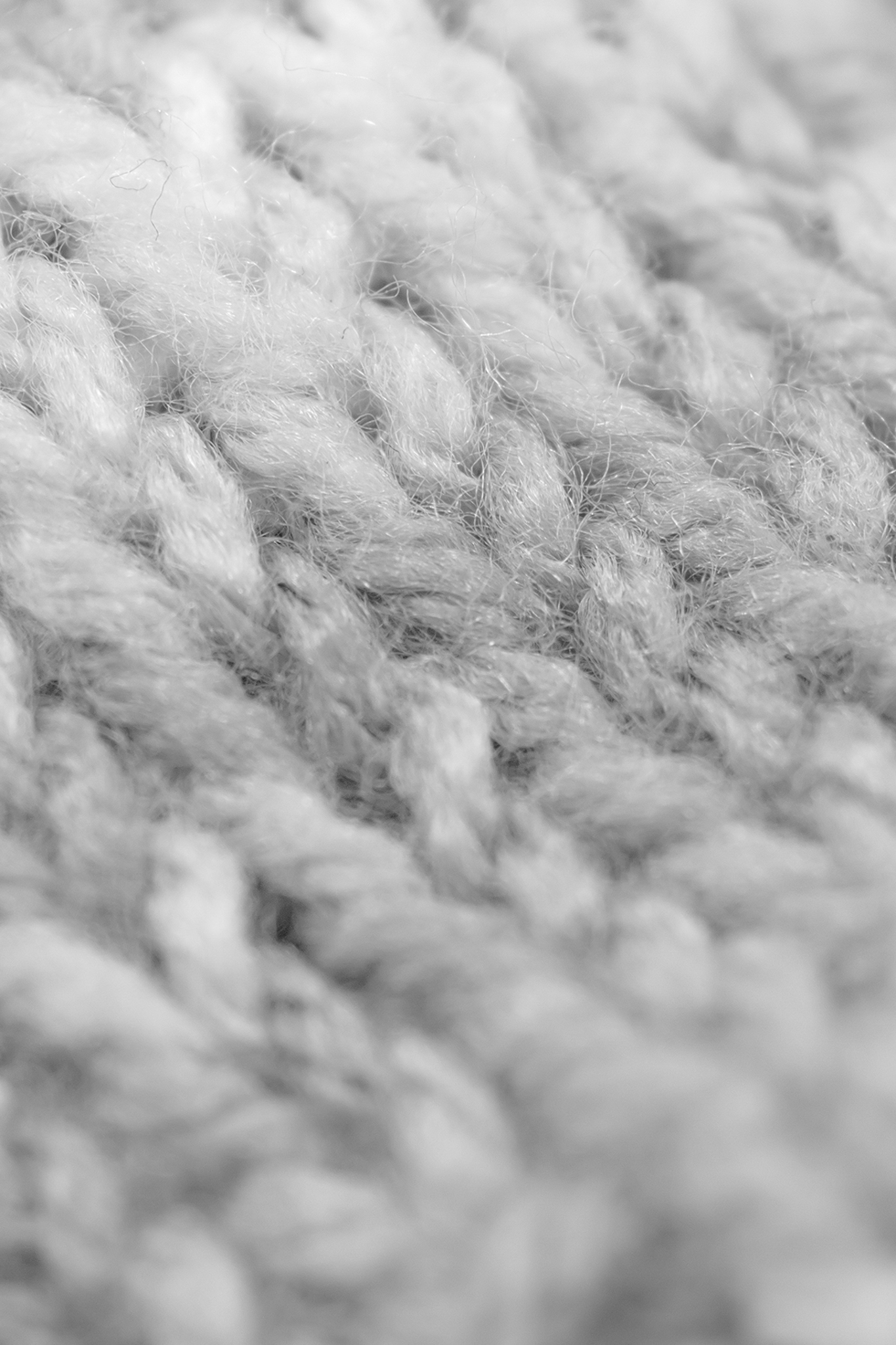 Leica Q3 Monochrom vs Leica Leitzphone macro comparison