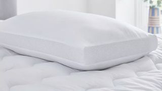 Silent night hotsell airmax pillow review