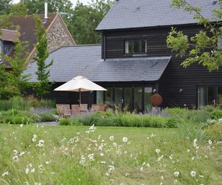 A black painted timber home with a wild lawn with naturalistic planting