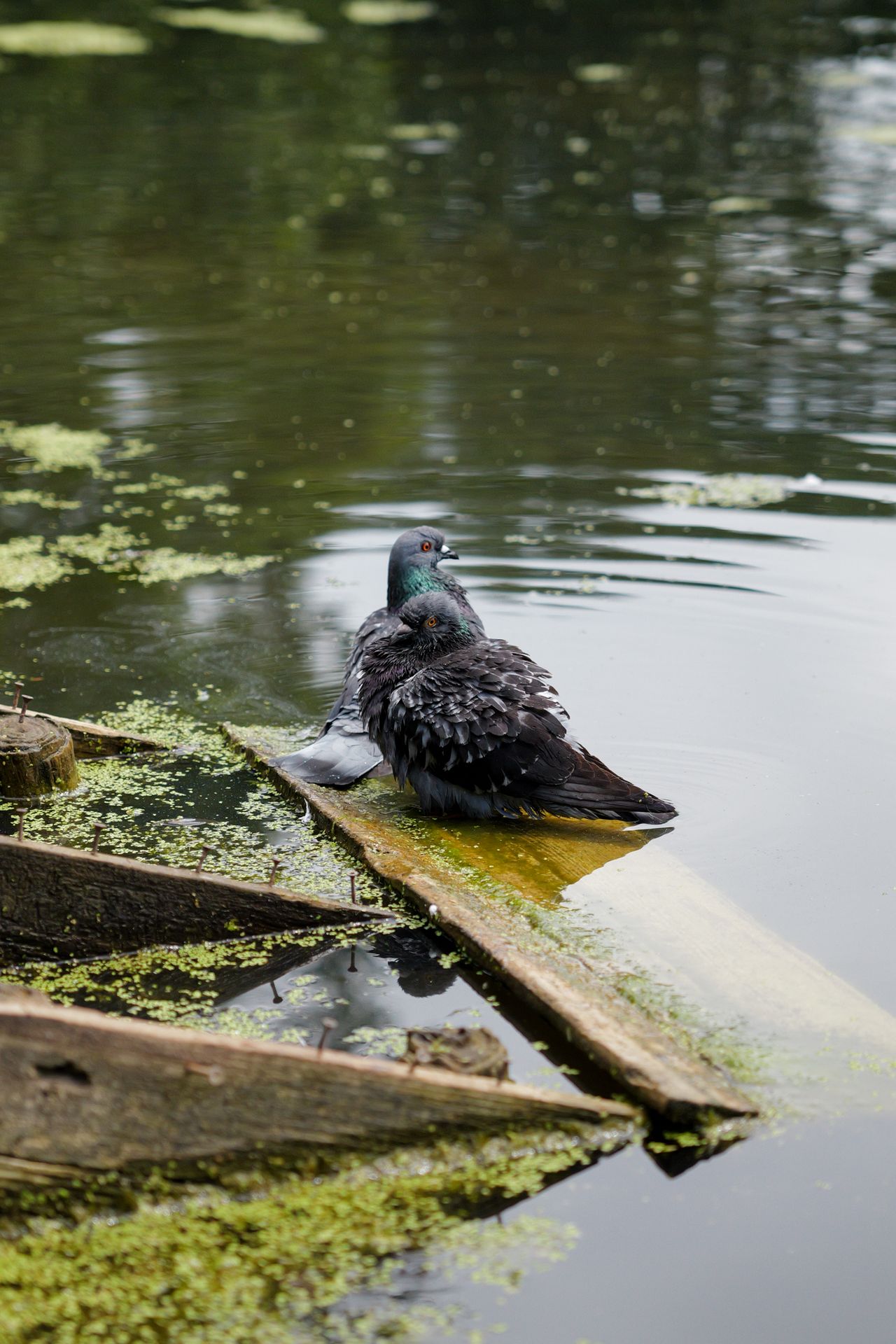 A photo taken on a Leica SL3-P full frame mirrorless camera