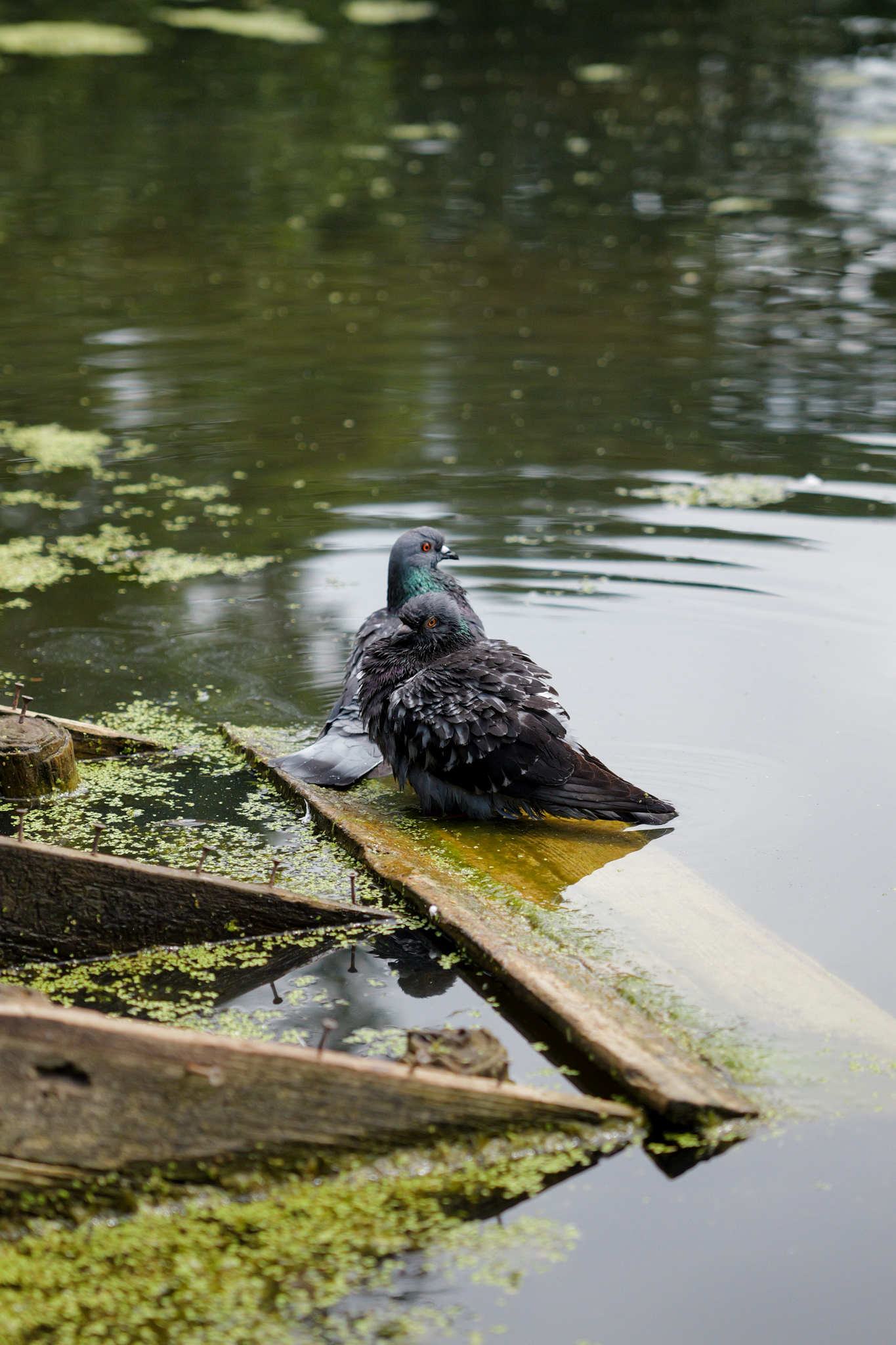 A photo taken on a Leica SL3-P full frame mirrorless camera