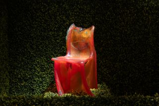 Gaetano Pesce chair in red resin