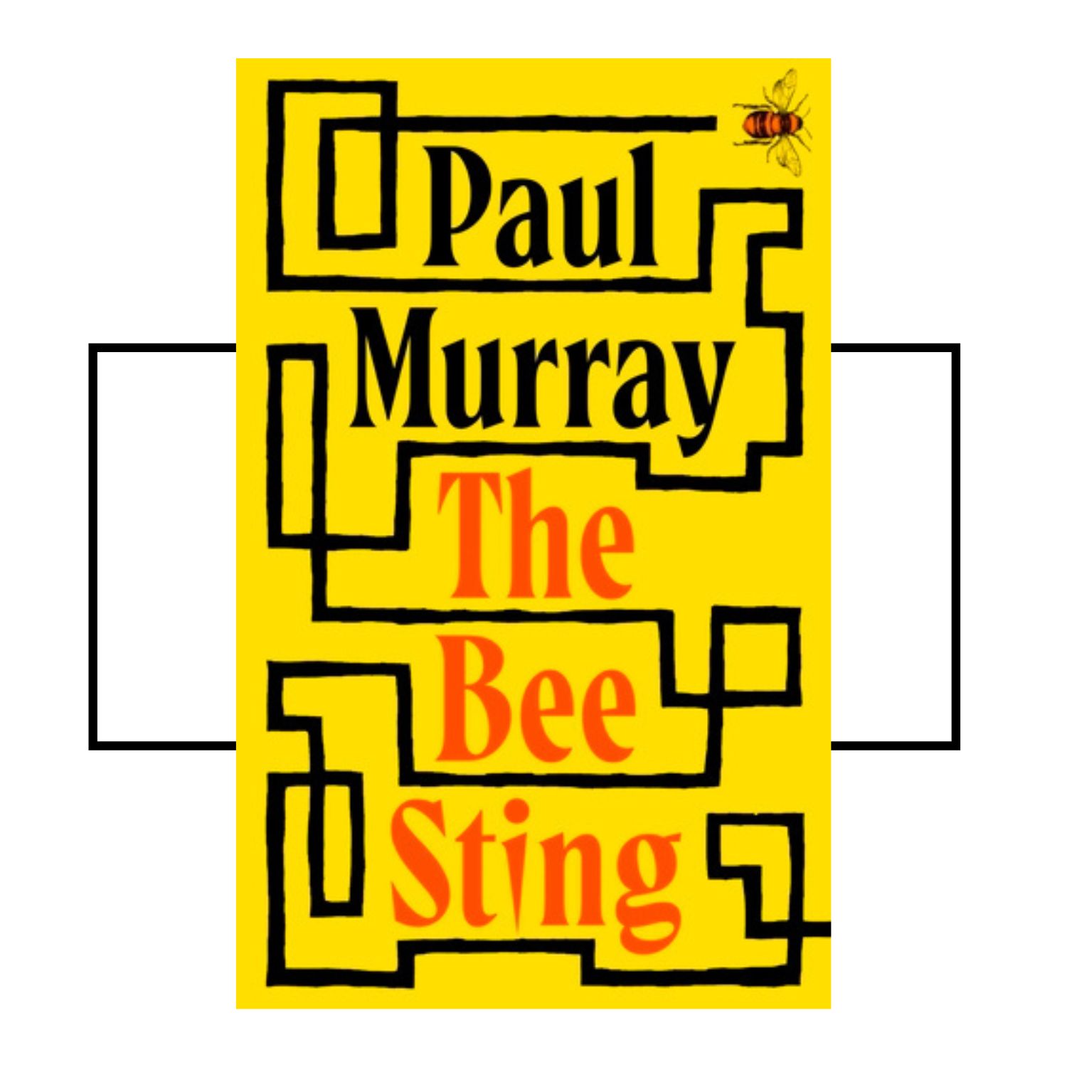 Image cover of The Bee Sting by Paul Murray, one of the best books 2023