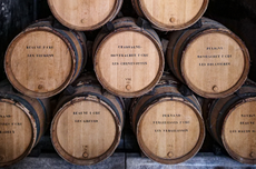 Chassagne & Puligny 2024