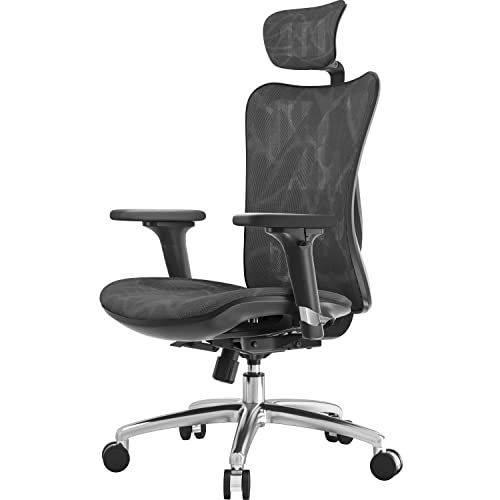 Ergonomic Office Chair Mesh Desk Chair