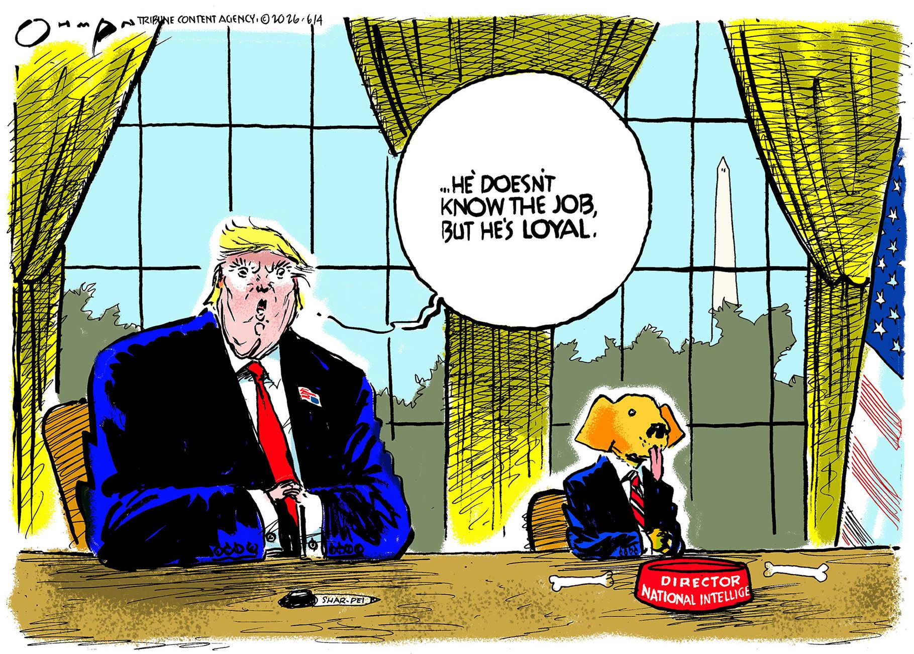 
                                Donald Trump sits at a desk next to a dog in a suit. The dog’s tongue hangs out and the dog is in front of a bowl that says “Director of National Intelligence.” Trump says, “He doesn’t know the job, but he’s loyal.”
                            