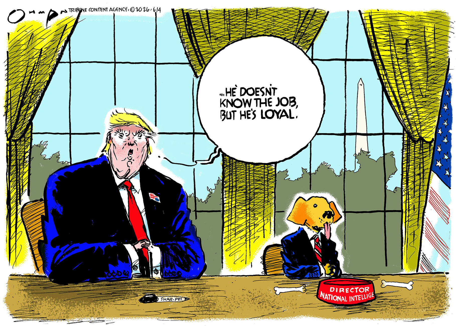 Donald Trump sits at a desk next to a dog in a suit. The dog&amp;rsquo;s tongue hangs out and the dog is in front of a bowl that says &amp;ldquo;Director of National Intelligence.&amp;rdquo; Trump says, &amp;ldquo;He doesn&amp;rsquo;t know the job, but he&amp;rsquo;s loyal.&amp;rdquo;