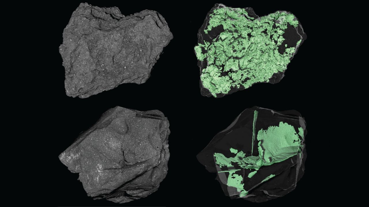 NASA peers inside an asteroid | Space photo of the day for March 19, 2026