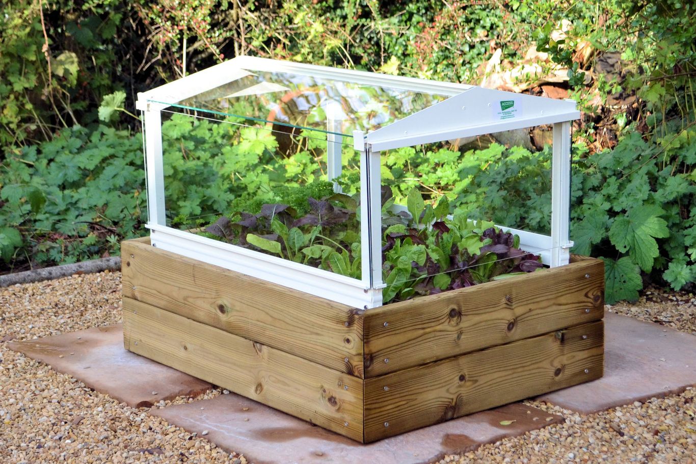 5 ways to use cold frames and cloches in your garden GardeningEtc