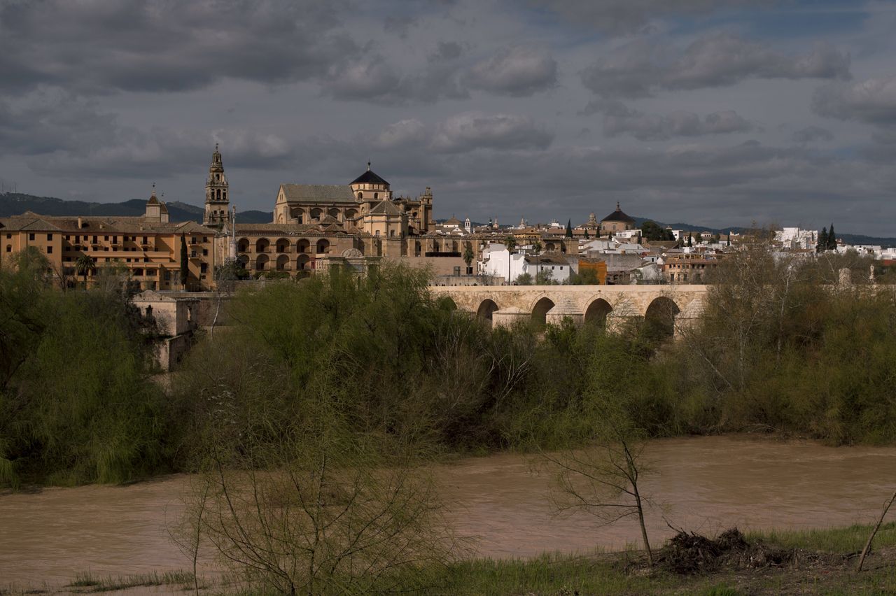 Cordoba Cathedral