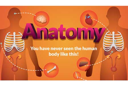 3D Anatomy App Offers Guided Tour of Body