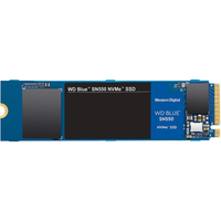 Western Digital WD Blue SN550 1TB: