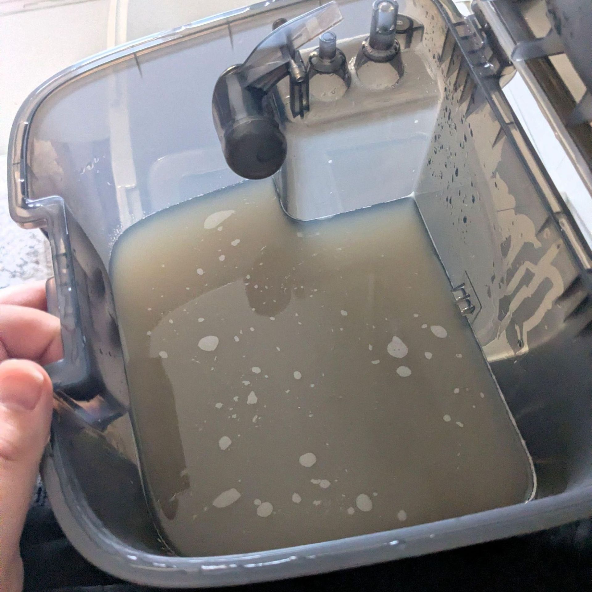 Dirty water tank of the. MOVA P50 Pro Ultra Robot Vacuum, filled with brown water